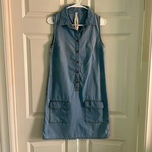 Chambray sleeveless shirt dress. Size XS. Wooden buttons down front.